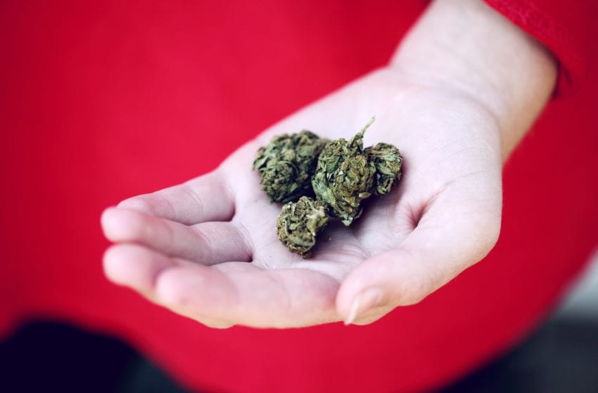  Marijuana Legalization Vote on Ballot in 5 U.S. States