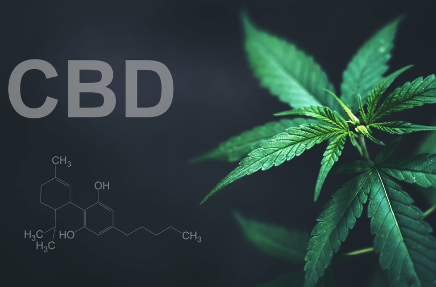  US FDA Warns Four for Illegally Selling CBD Products