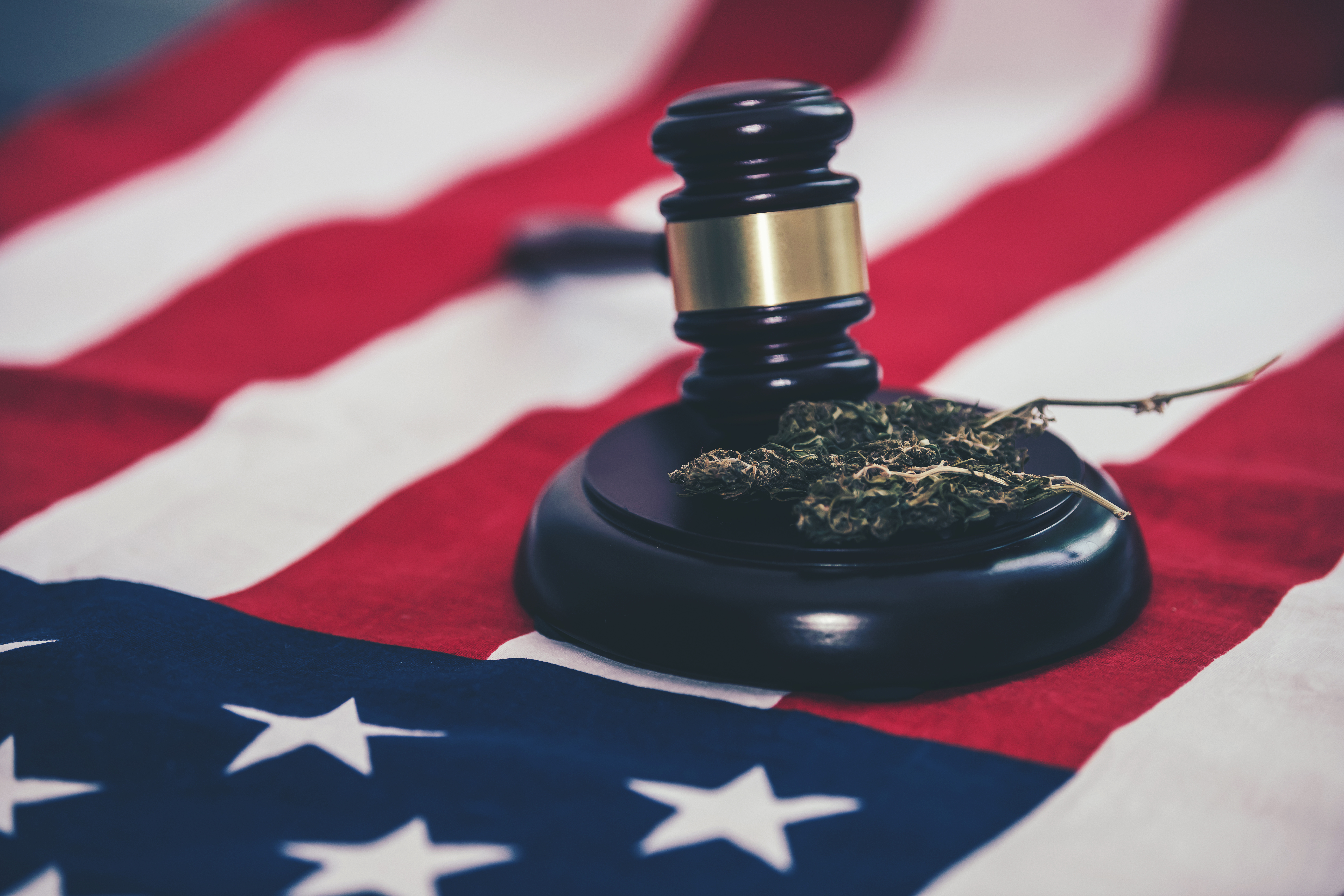  U.S. Senate Introduces Marijuana Legalization Bill