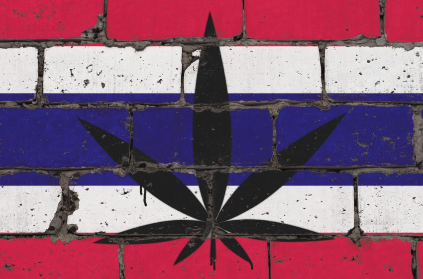  Thailand: Decriminalized Cannabis to Begin Thursday