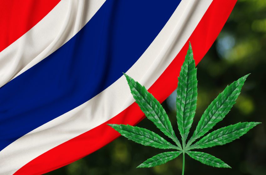  Thailand to Ban Sale of Cannabis Vaping Products