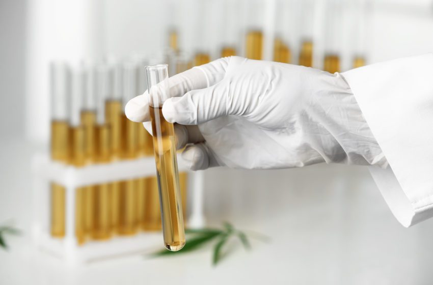  Altria Files 3 More Patents for Cannabis Applications